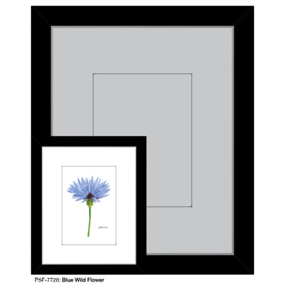 Blue Wild Flower Stem, Print (#7728) - Printed Canvas