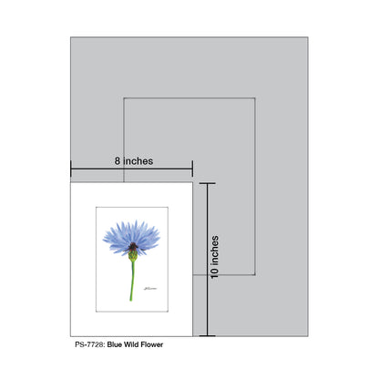 Blue Wild Flower Stem, Print (#7728) - Printed Canvas