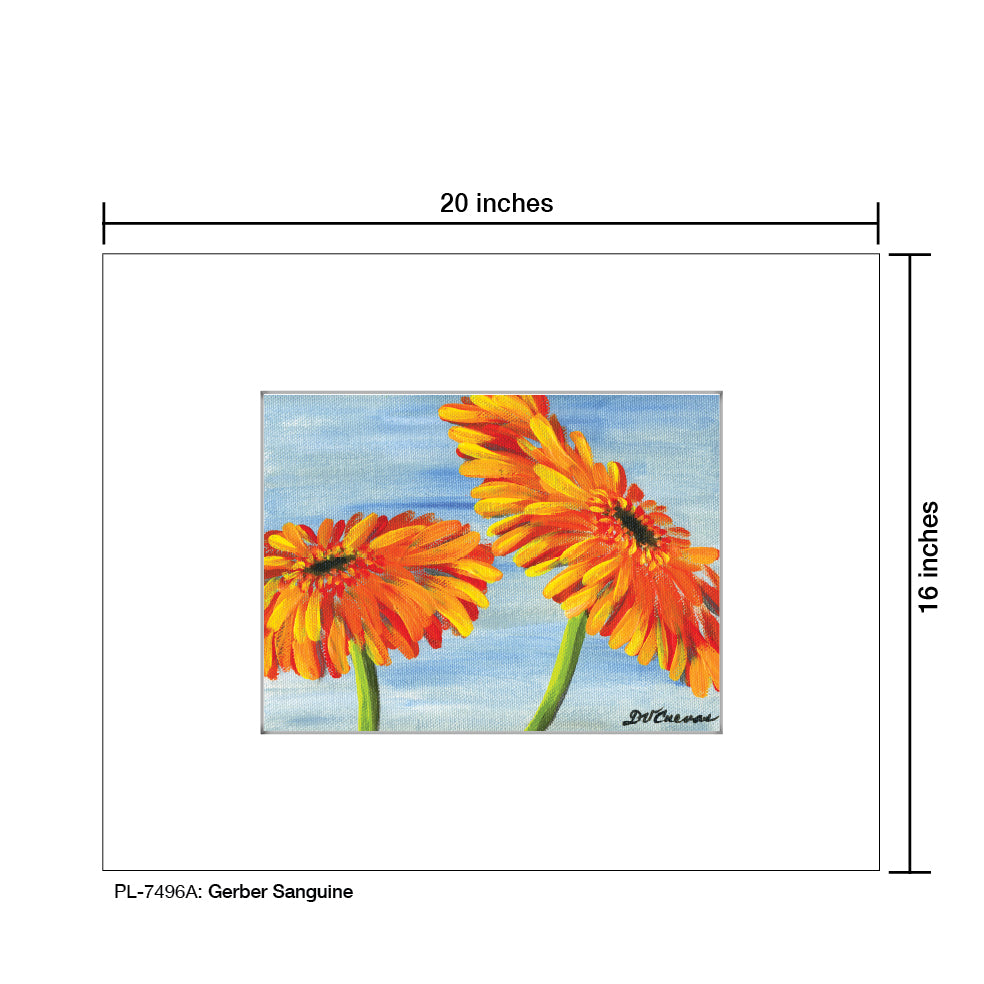 Gerber Sanguine, Print (#7496A), Printe Matted, www.printedcanvas.com