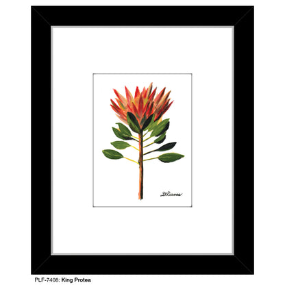 King Protea, Print (#7408) - Printed Canvas
