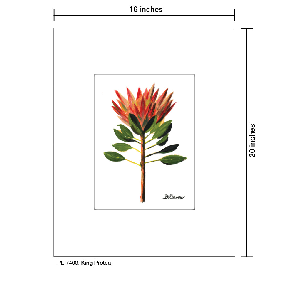 King Protea, Print (#7408) - Printed Canvas