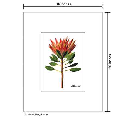 King Protea, Print (#7408) - Printed Canvas