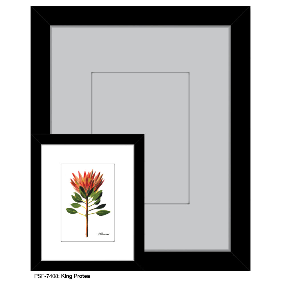 King Protea, Print (#7408) - Printed Canvas