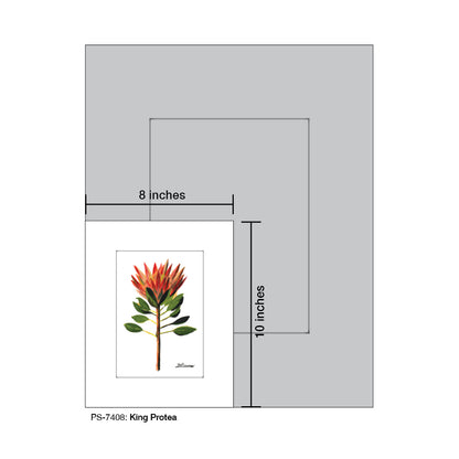 King Protea, Print (#7408) - Printed Canvas