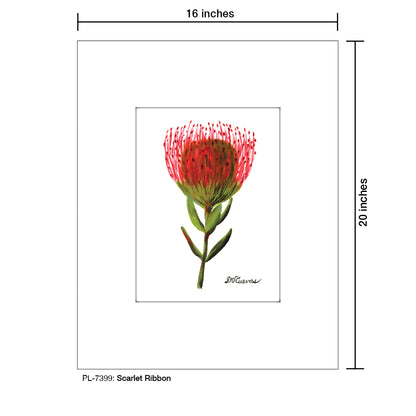 Scarlet Ribbon, Print (#7399) - Printed Canvas