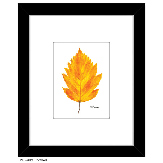 Toothed, Print (#7624) - Printed Canvas