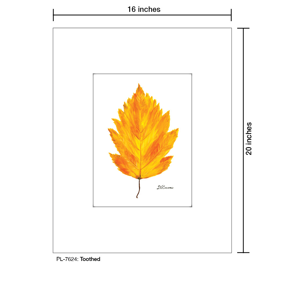 Toothed, Print (#7624) - Printed Canvas