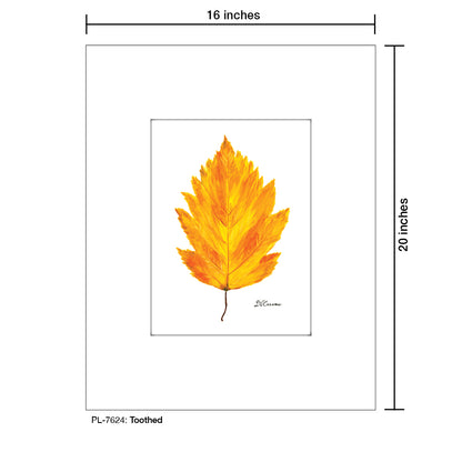 Toothed, Print (#7624) - Printed Canvas