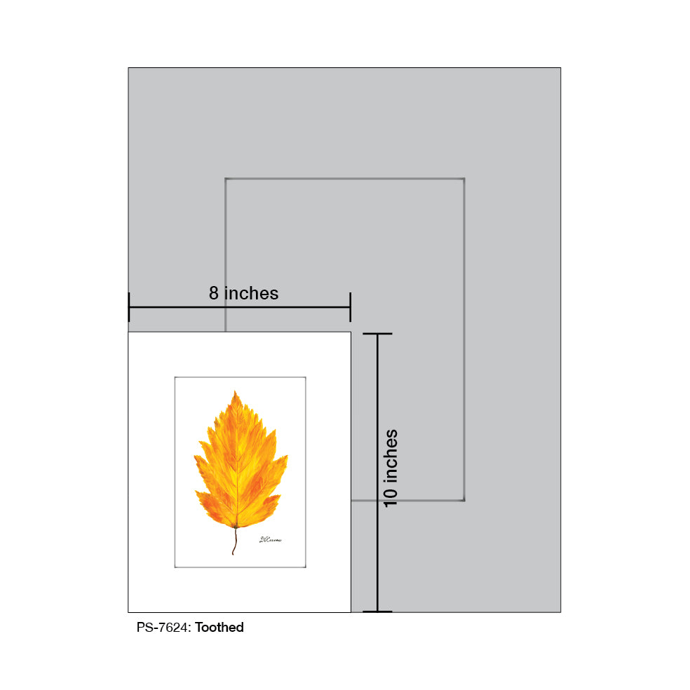 Toothed, Print (#7624) - Printed Canvas