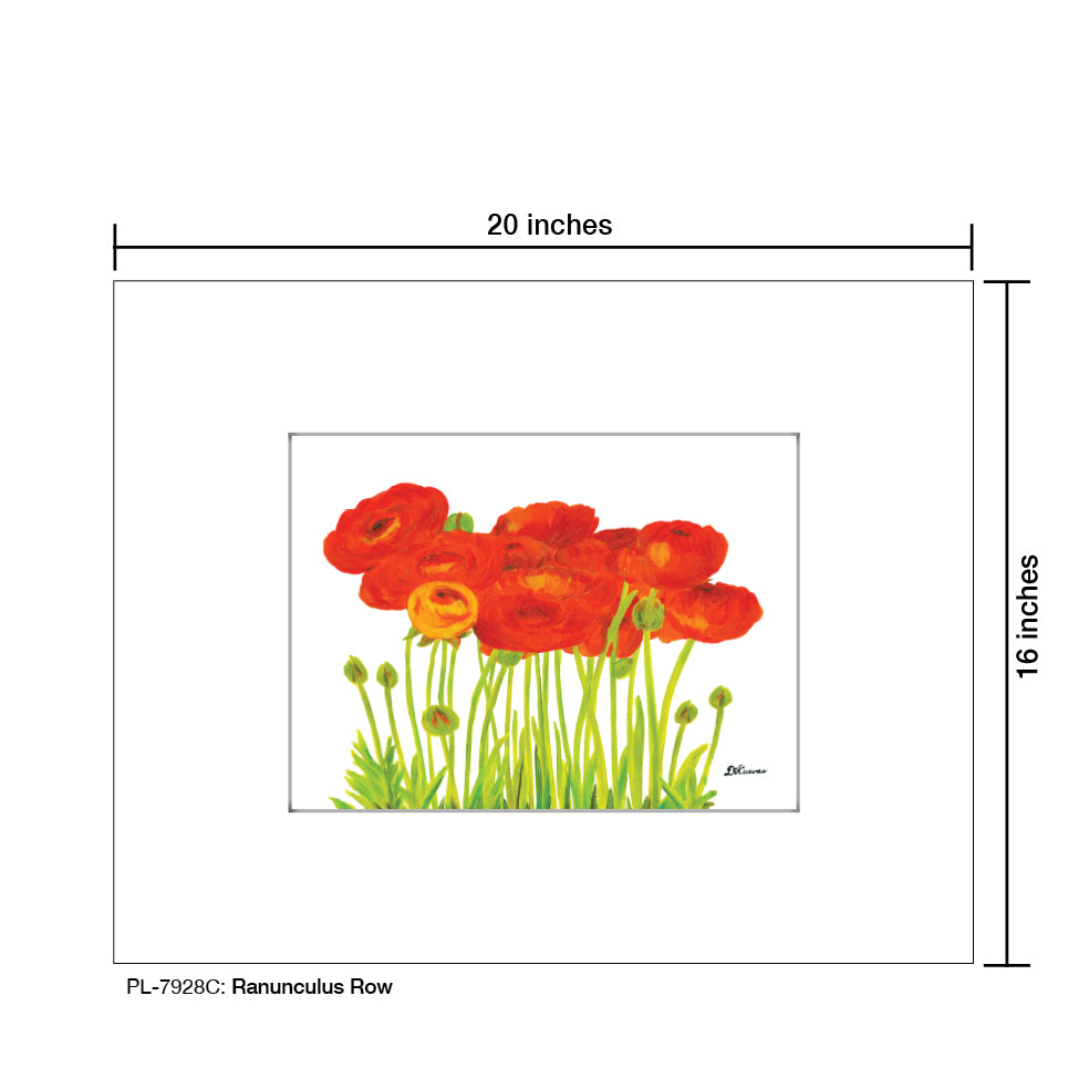 Ranunculus Row, Print (#7928C) - Printed Canvas