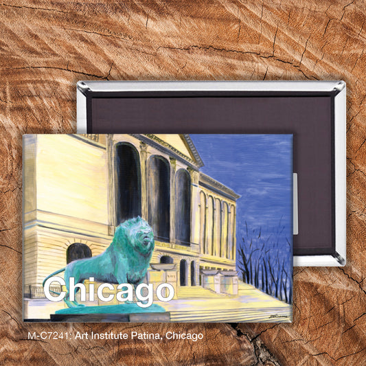 Art Institute Patina, Chicago, Magnet (M-7241), Front, printedcanvas.com