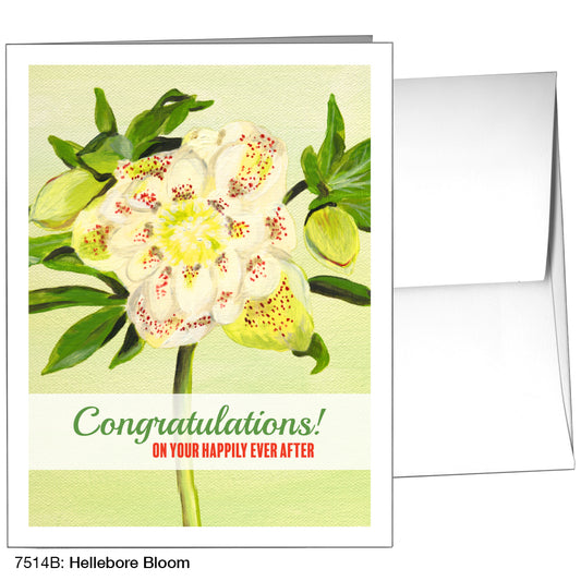 Hellebore Bloom, Greeting Card (7514B), A2, printedcanvas.com