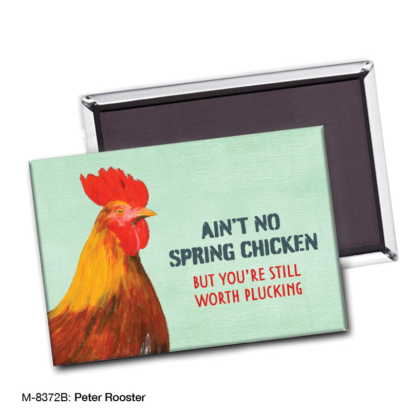 Peter Rooster, Magnet (M-8372B), Front, printedcanvas.com