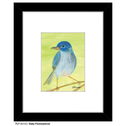 Slaty Flowerpiercer, Print (#8315C), Print Matted, www.printedcanvas.com