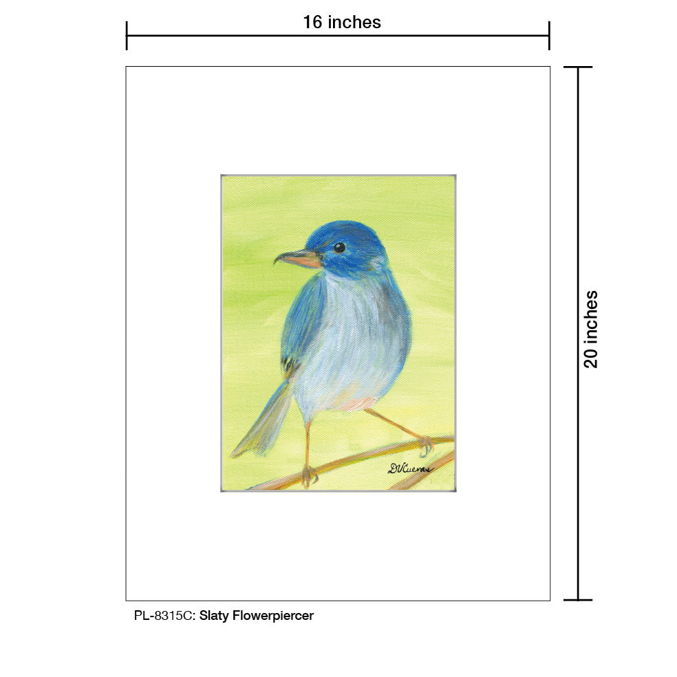 Slaty Flowerpiercer, Print (#8315C), Printe Matted, www.printedcanvas.com