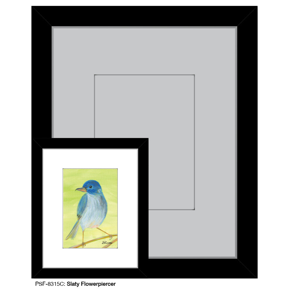 Slaty Flowerpiercer, Print (#8315C), Print Matted, www.printedcanvas.com
