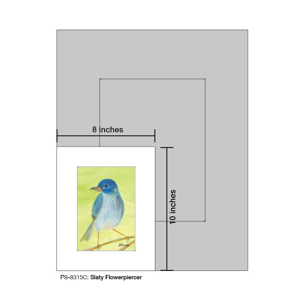 Slaty Flowerpiercer, Print (#8315C), Print Matted, www.printedcanvas.com