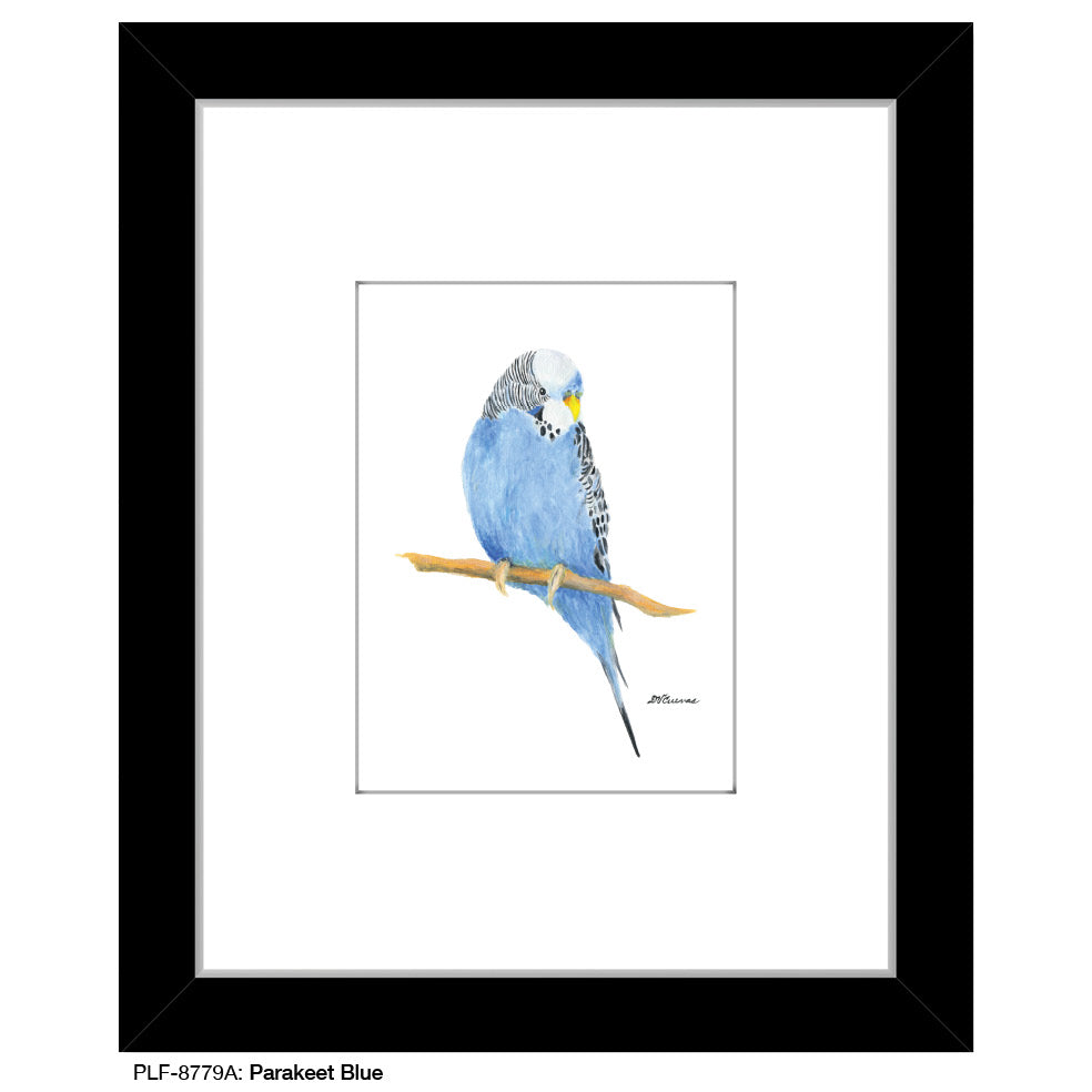 Parakeet Blue, Print (#8779A), Print Matted, www.printedcanvas.com
