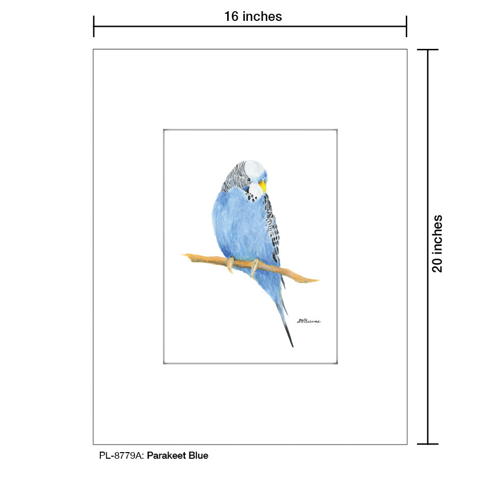 Parakeet Blue, Print (#8779A), Printe Matted, www.printedcanvas.com
