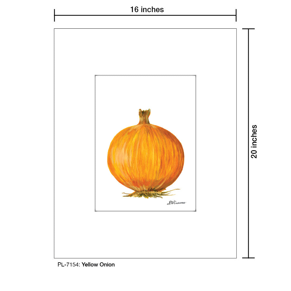Yellow Onion, Print (#7154A), Printe Matted, www.printedcanvas.com
