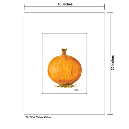 Yellow Onion, Print (#7154A), Printe Matted, www.printedcanvas.com