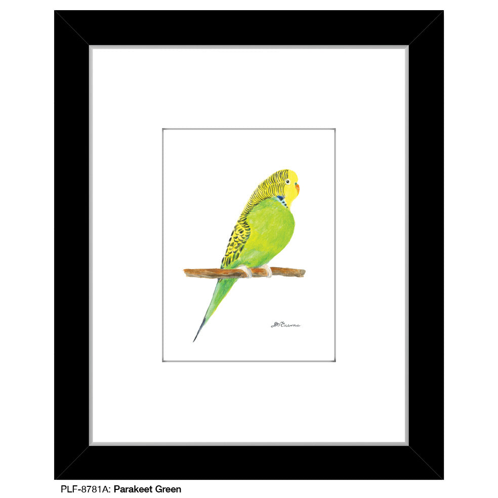 Parakeet Green, Print (#8781A), Print Matted, www.printedcanvas.com