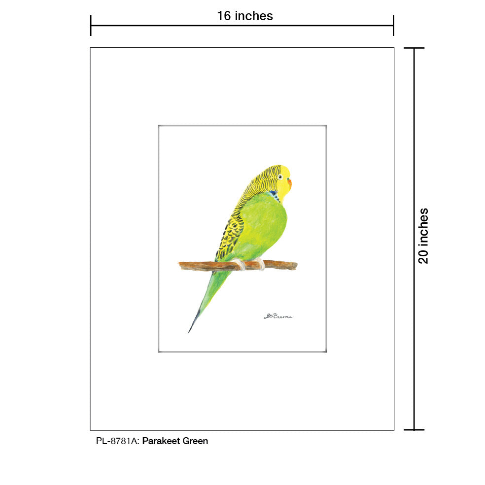 Parakeet Green, Print (#8781A), Printe Matted, www.printedcanvas.com