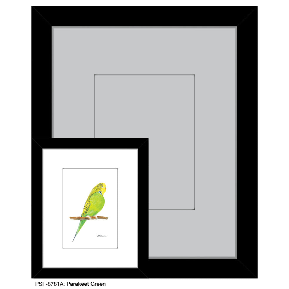 Parakeet Green, Print (#8781A), Print Matted, www.printedcanvas.com