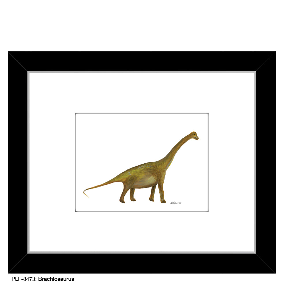 Brachiosaurus, Print (#8473A), Print Matted, www.printedcanvas.com