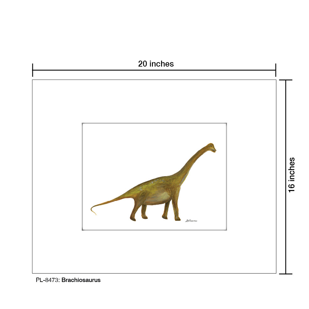 Brachiosaurus, Print (#8473A), Printe Matted, www.printedcanvas.com