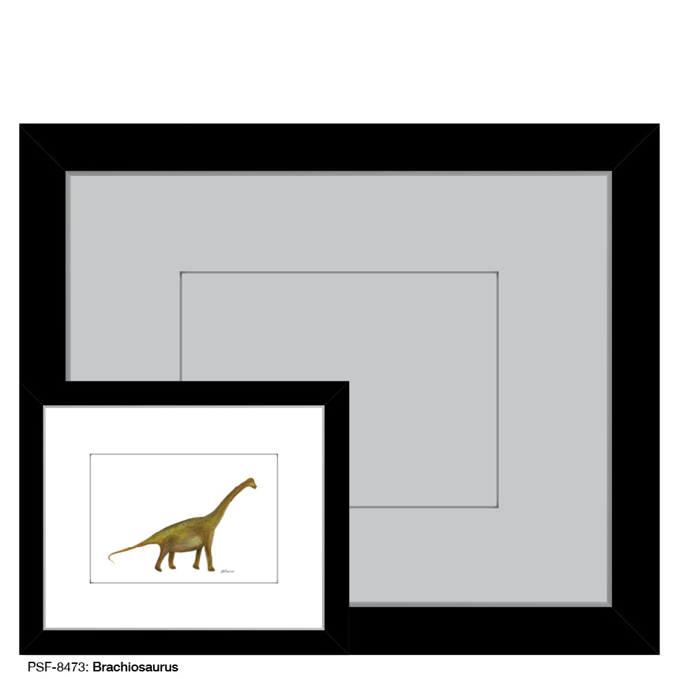 Brachiosaurus, Print (#8473A), Print Matted, www.printedcanvas.com