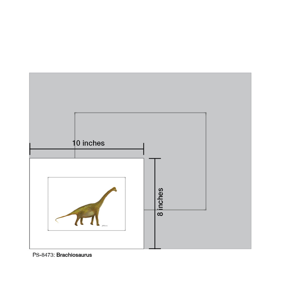 Brachiosaurus, Print (#8473A), Print Matted, www.printedcanvas.com