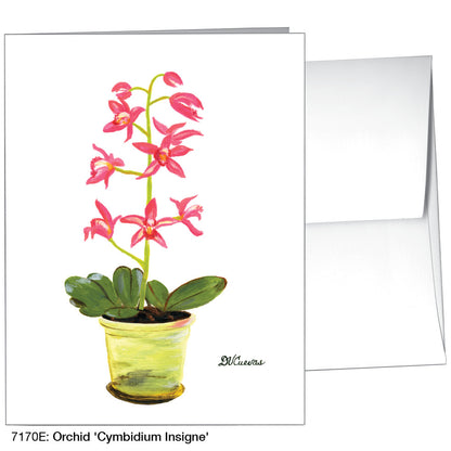 Orchid 'Cymbidium Insigne', Greeting Card (7170E), A2, printedcanvas.com