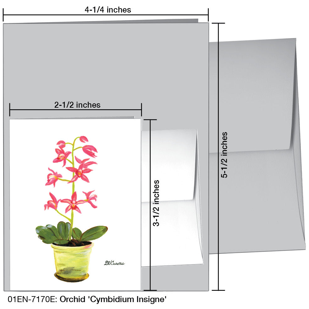 Orchid 'Cymbidium Insigne', Greeting Card (7170E), Enclosure, printedcanvas.com