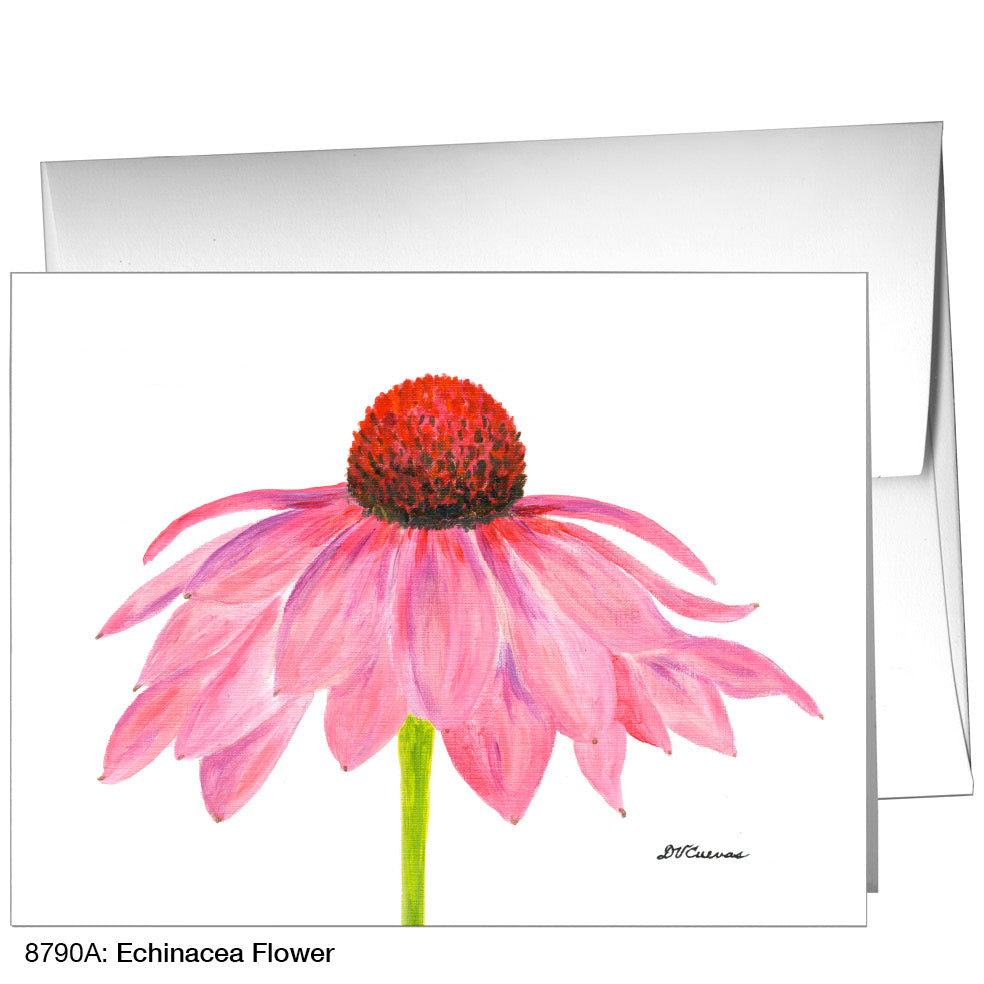 Echinacea Flower, Greeting Card (8790A), A2 Card Front, www.printedcanvas.com