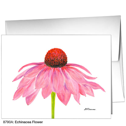 Echinacea Flower, Greeting Card (8790A), A2 Card Front, www.printedcanvas.com