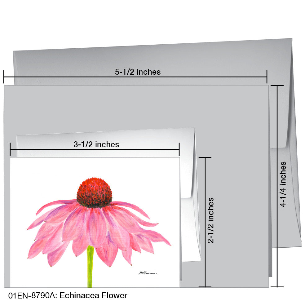 Echinacea Flower, Greeting Card (8790A), Enclosure Card, www.printedcanvas.com
