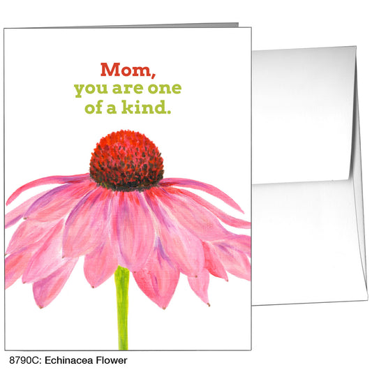 Echinacea Flower, Greeting Card (8790C), A2, printedcanvas.com