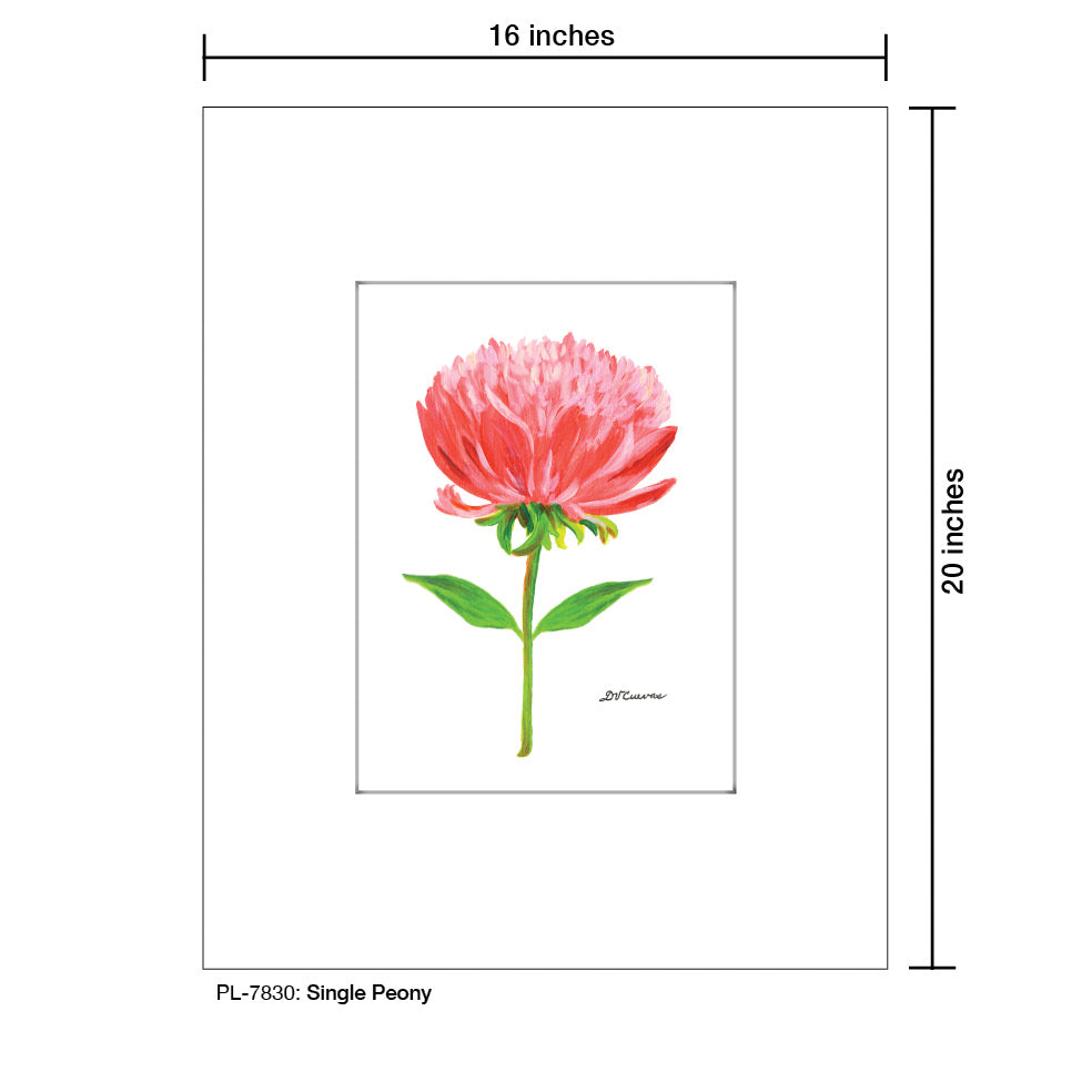 Single Peony, Print (#7830) - Printed Canvas