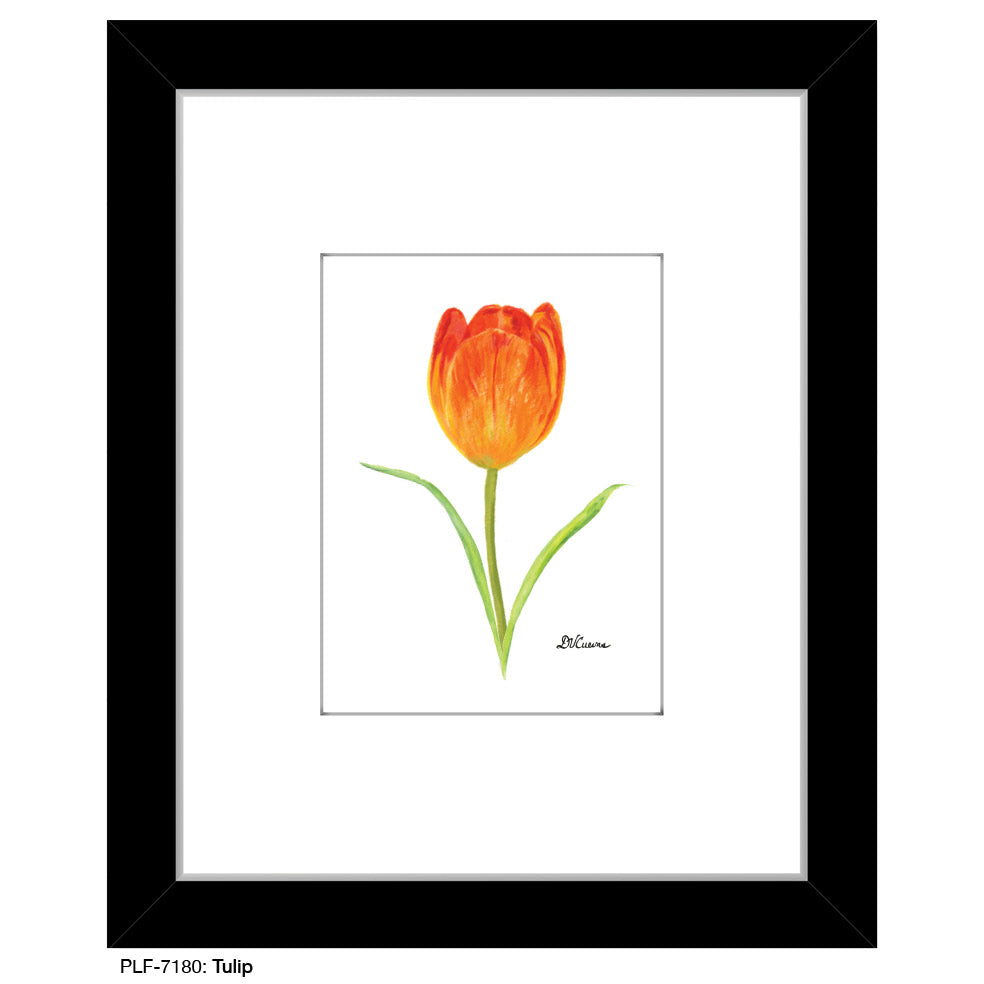 Tulip, Print (#7180) - Printed Canvas