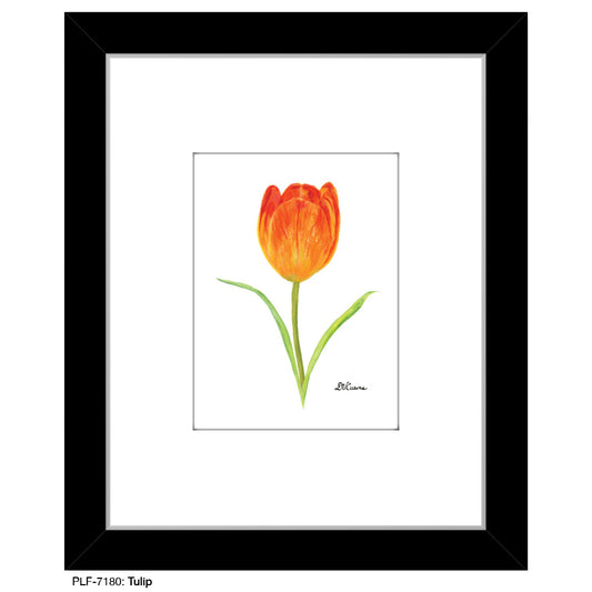 Tulip, Print (#7180) - Printed Canvas