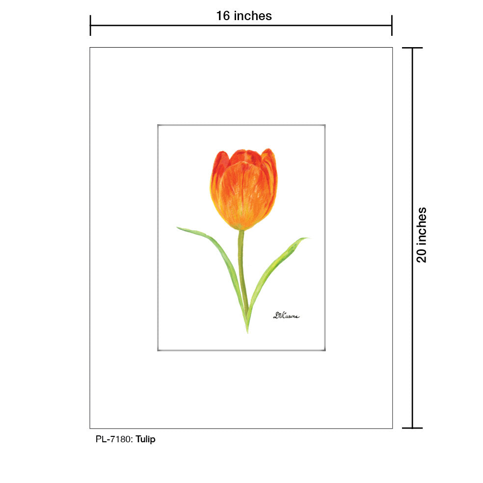 Tulip, Print (#7180) - Printed Canvas