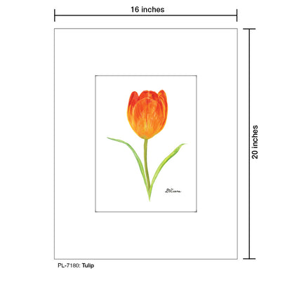 Tulip, Print (#7180) - Printed Canvas