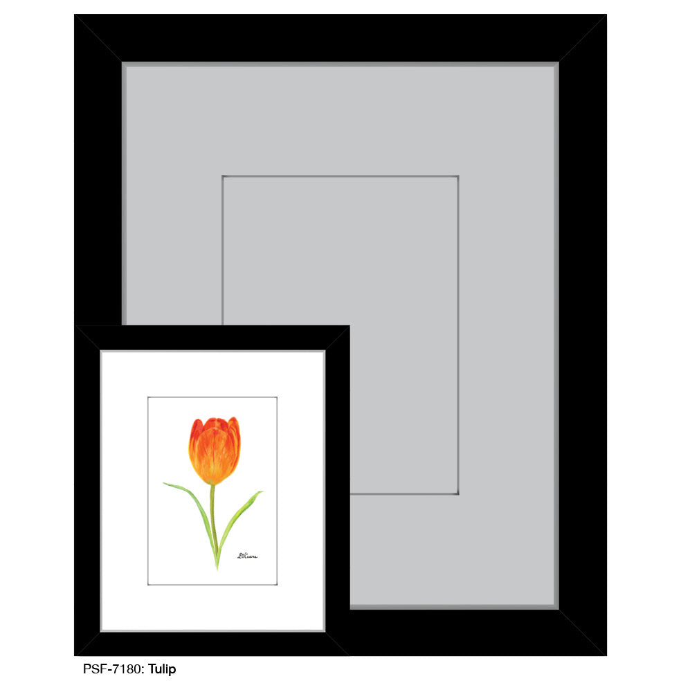Tulip, Print (#7180) - Printed Canvas