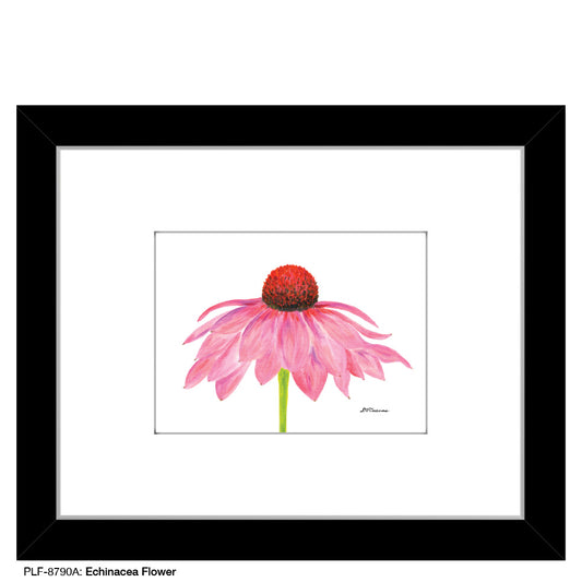 Echinacea Flower, Print (#8790A) - Printed Canvas