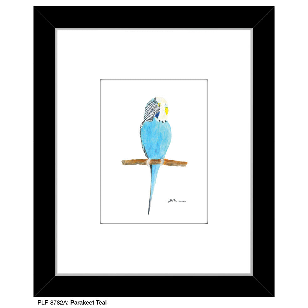 Parakeet Teal, Print (#8782A), Print Matted, www.printedcanvas.com