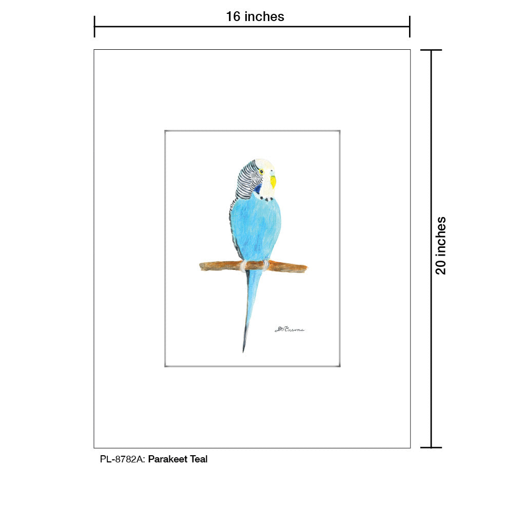 Parakeet Teal, Print (#8782A), Printe Matted, www.printedcanvas.com