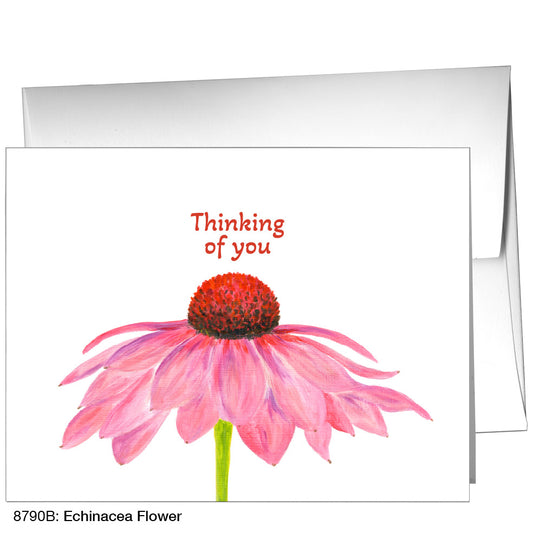 Echinacea Flower, Greeting Card (8790B), A2, printedcanvas.com