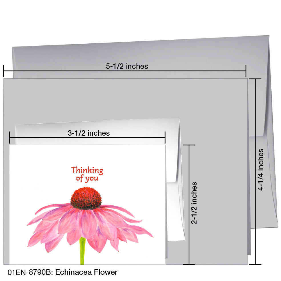 Echinacea Flower, Greeting Card (8790B), Enclosure, printedcanvas.com