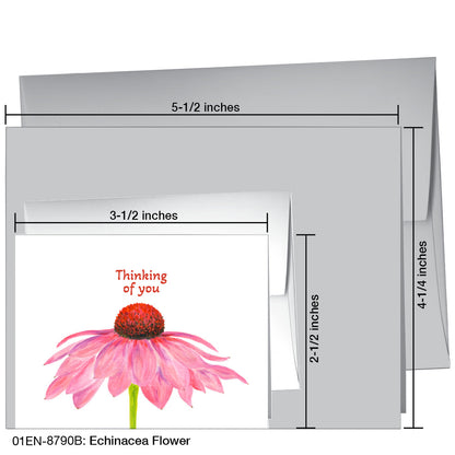 Echinacea Flower, Greeting Card (8790B), Enclosure, printedcanvas.com